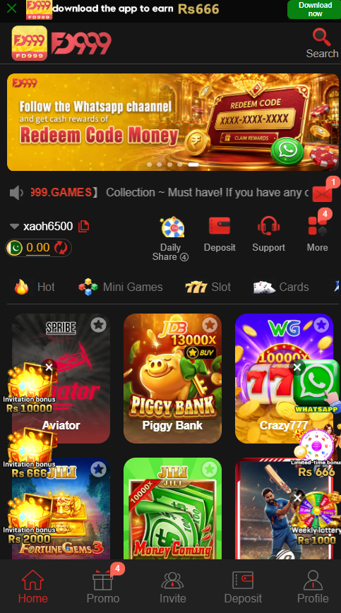 fd999 Game